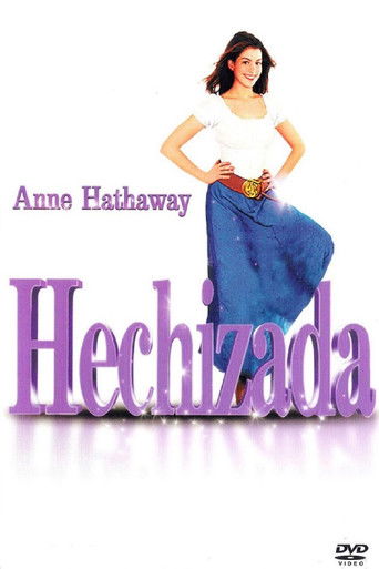 Cartel de Hechizada