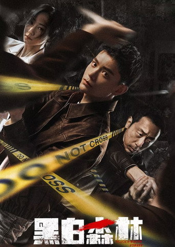 Cartel de 黑白森林