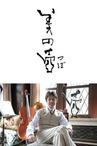 Cartel de 美の壺