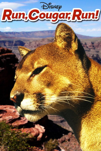 Cartel de El último puma