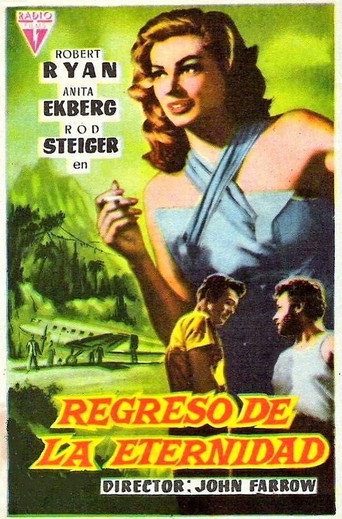 Cartel de Regreso de la eternidad