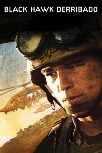 Cartel de Black Hawk derribado