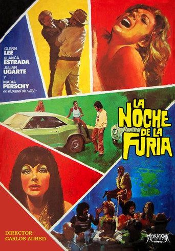 Cartel de La noche de la furia
