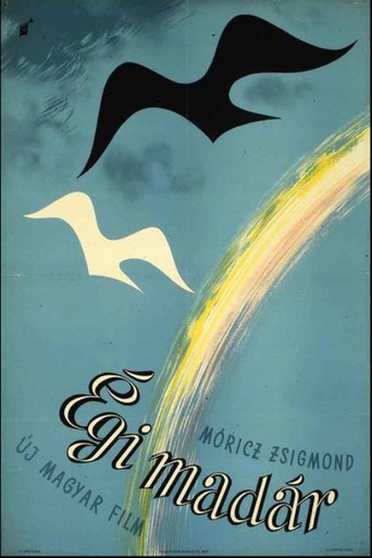 Cartel de Égi madár