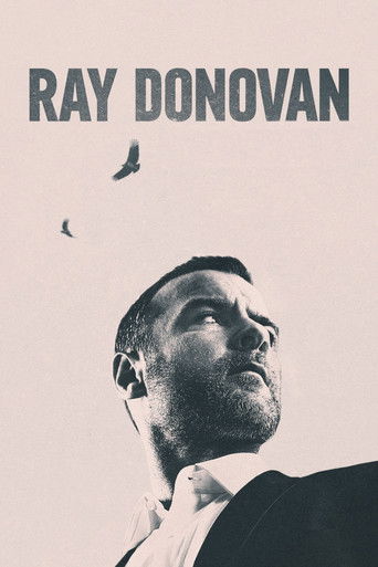 Cartel de Ray Donovan, la película