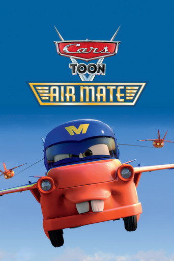 Cartel de Los cuentos de Mate: Air Mate