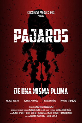 Cartel de Pájaros de una misma pluma