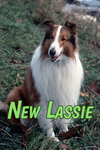 Cartel de The New Lassie