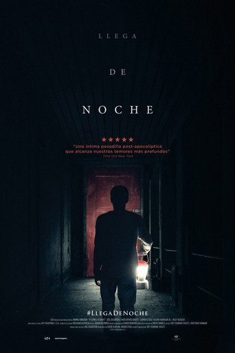 Cartel de Llega de noche