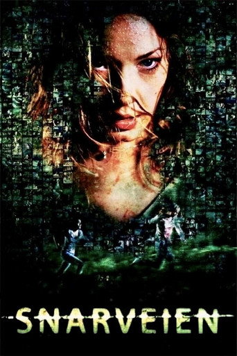 Cartel de Detour