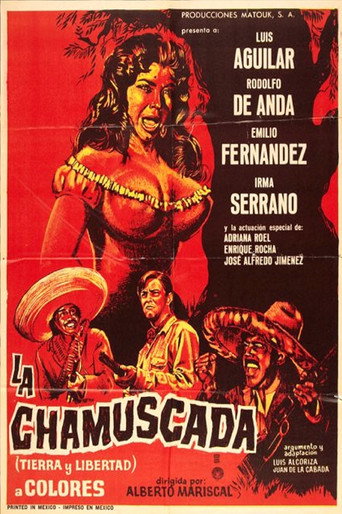 Cartel de La Chamuscada - Tierra Y Libertad