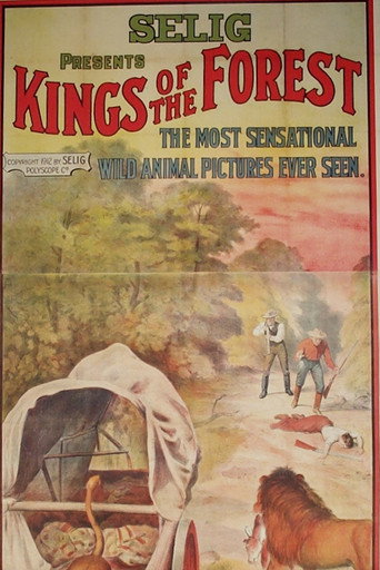 Cartel de Kings of the Forest