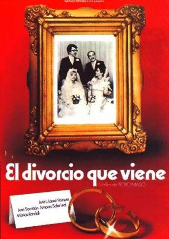 Cartel de El divorcio que viene