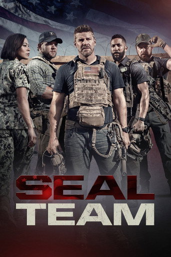 Cartel de SEAL Team