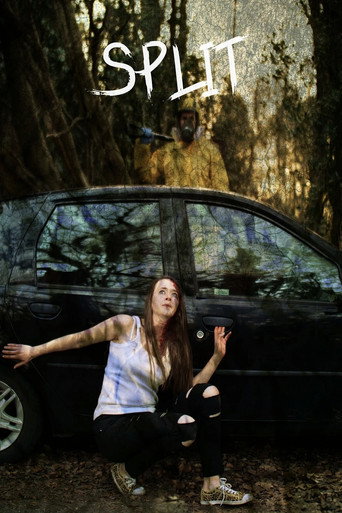 Cartel de Split