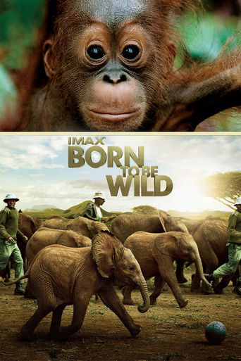 Cartel de Born to Be Wild