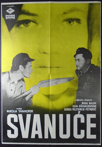 Cartel de Svanuće
