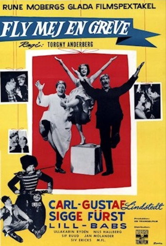 Cartel de Fly mej en greve