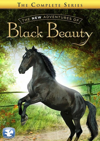 Cartel de The New Adventures of Black Beauty