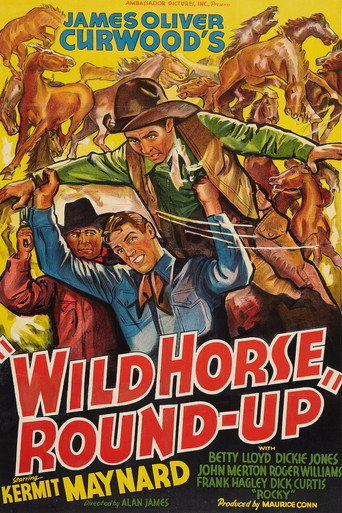 Cartel de Wild Horse Round-Up