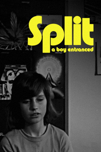 Cartel de Split