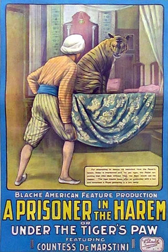 Cartel de A Prisoner in the Harem