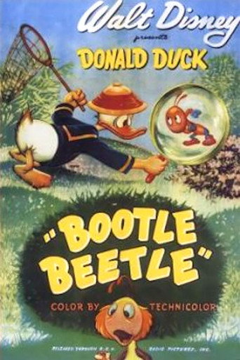 Cartel de Escarabajo de Bootle