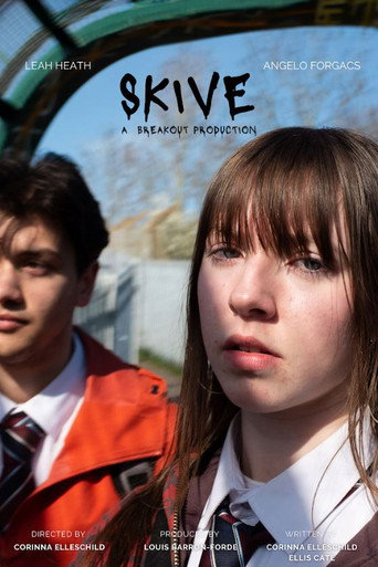 Cartel de Skive