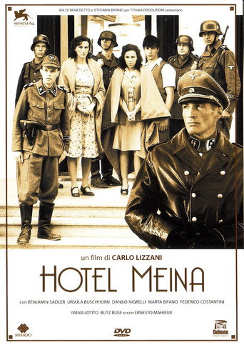 Cartel de Hotel Meina