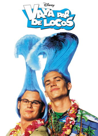 Cartel de Vaya par de locos