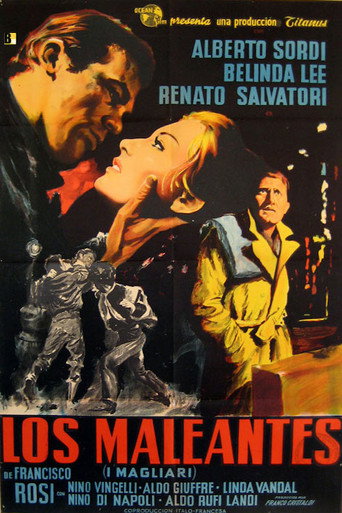 Cartel de I magliari