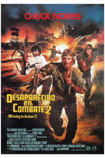 Cartel de Desaparecido en combate 2