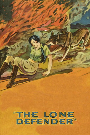 Cartel de The Lone Defender