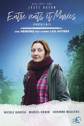 Cartel de Entre vientos y mareas