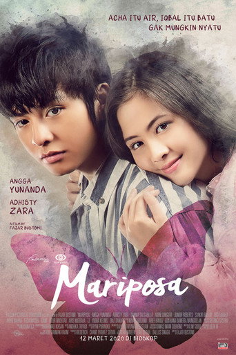 Cartel de Mariposa