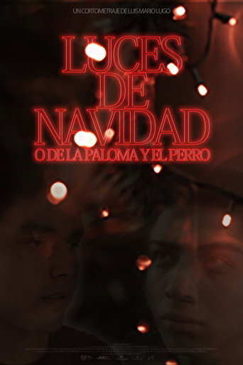 Cartel de Luces de navidad o de la paloma y el perro