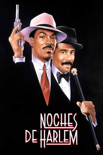 Cartel de Noches de Harlem