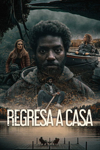 Cartel de Regresa a casa