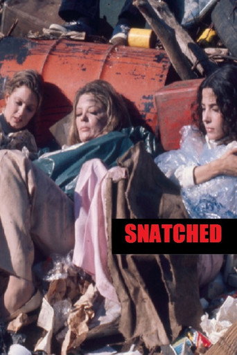 Cartel de Snatched