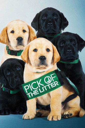 Cartel de Pick of the Litter
