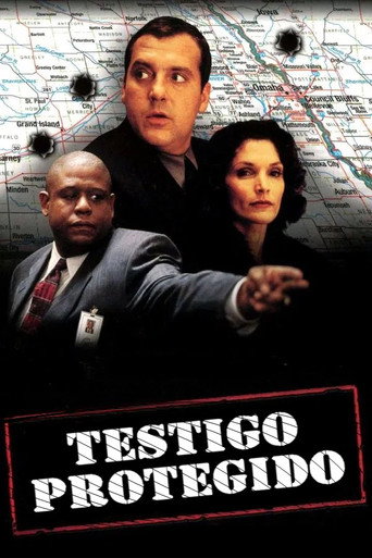 Cartel de Testigo protegido