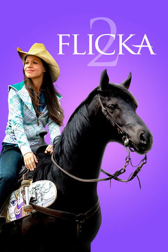 Cartel de Flicka 2