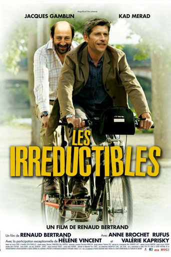 Cartel de Les Irréductibles