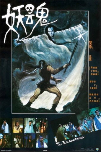 Cartel de The Enchantress