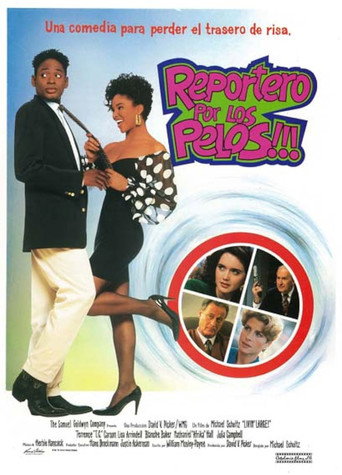 Cartel de Reportero por los pelos