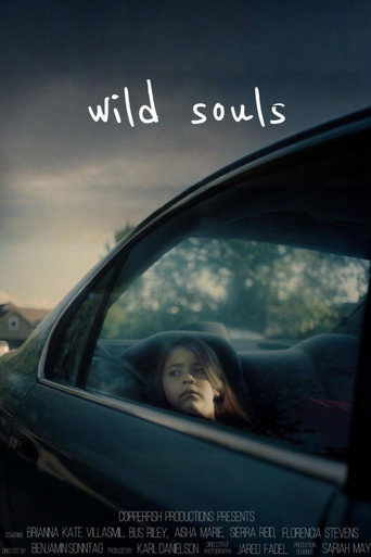 Cartel de Wild Souls
