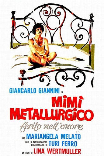 Cartel de Mimí metalúrgico, herido en su honor
