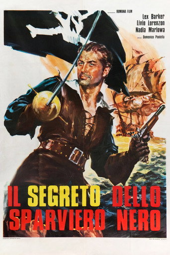 Cartel de El secreto del gavilán negro