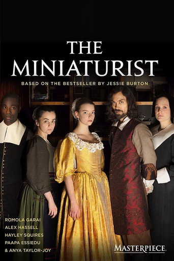 Cartel de The Miniaturist