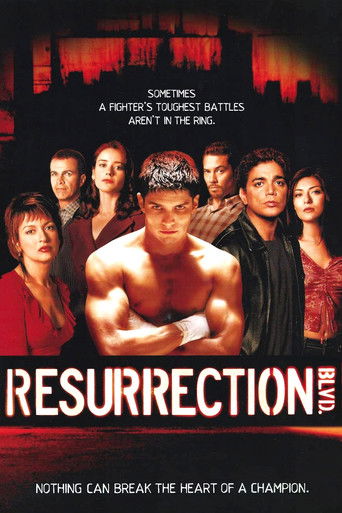 Cartel de Resurrection Blvd.